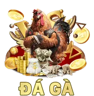 Hoàn Trả Thể Thao Hàng Tuần